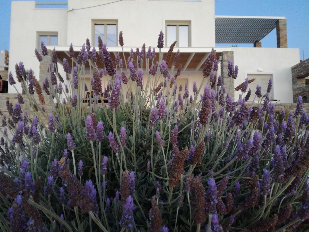 Nesaea Seafront House Villa Parasporos Exterior photo